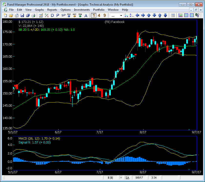 Fund Manager Technical Analysis Graph